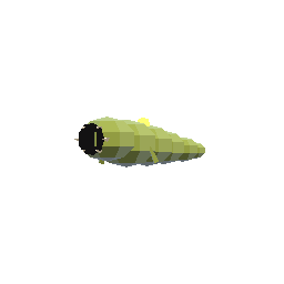 Larva de Raiz