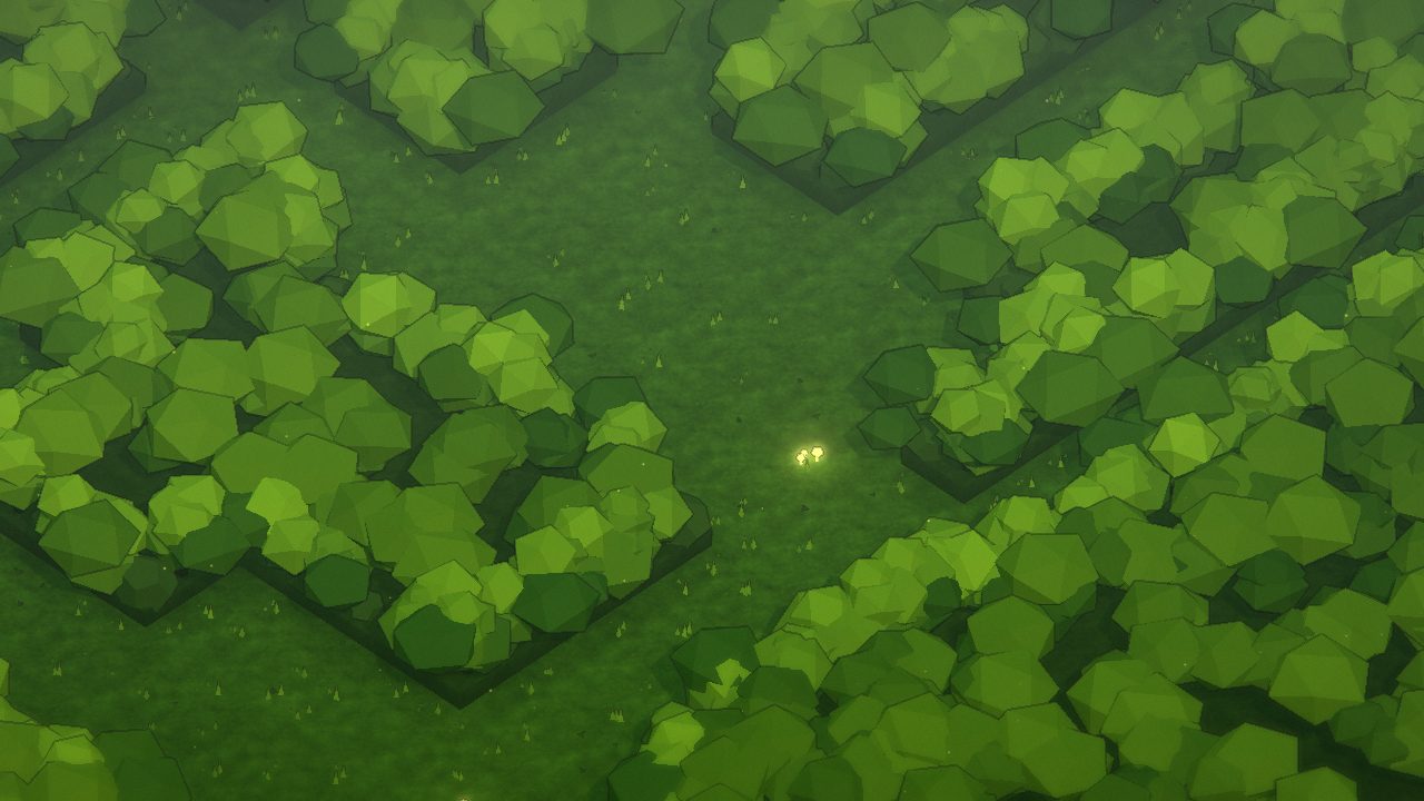 Bosque dos Lobos, por dentro